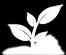 Revista Verde de Agroecologia e Desenvolvimento Sustentável V. 11, Nº 2, p. 01-05, 2016 Pombal, PB, Grupo Verde de Agroecologia e Abelhas http://www.gvaa.com.br/revista/index.php/rvads DOI: http://dx.