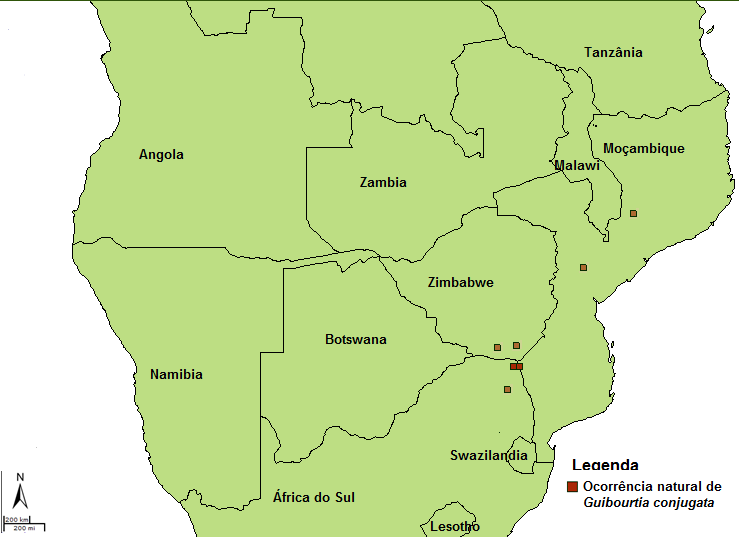 FIGURA 5 OCORRÊNCIA NATURAL DE Guibourtia conjugata. FONTE: PALGRAVE (2002). Em Moçambique ocorre no interior da região do sul do rio Save, em solos arenosos e argilo-arenosos.