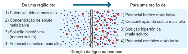 Osmose É a passagem do solvente do meio menos concentrado