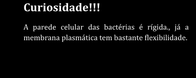 !! Para observar com a lente objetiva de 100 x de aumento, A parede é necessário celular das