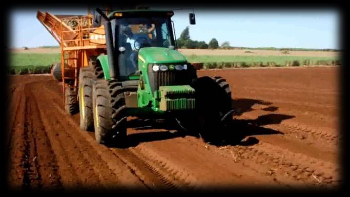 Modelagem e simulação agrícola Modelo de desenvolvimento próprio, baseado em planilhas