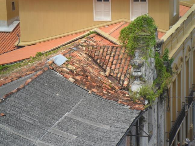 Pesquisa de campo Levantamento fotográfico Forro: réguas de madeira em saia e camisa pintadas de branco; tábuas de largura uniforme: traçado simples