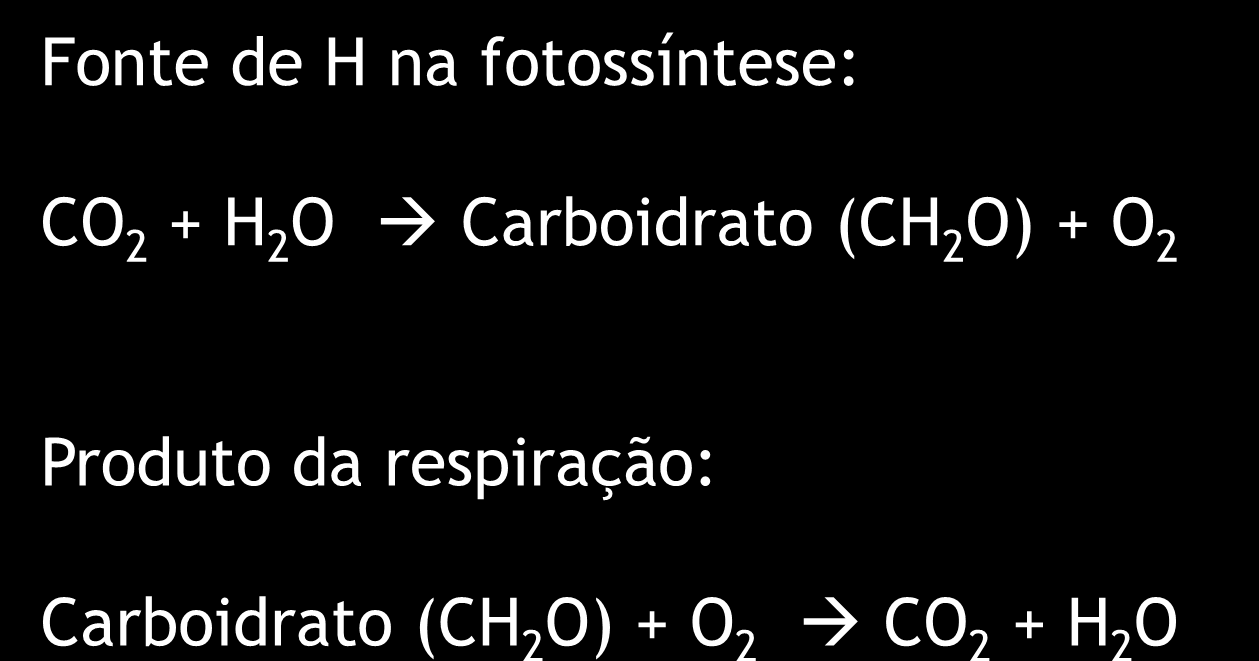 IMPORTÂNCIA DA ÁGUA PARA AS PLANTAS 7.