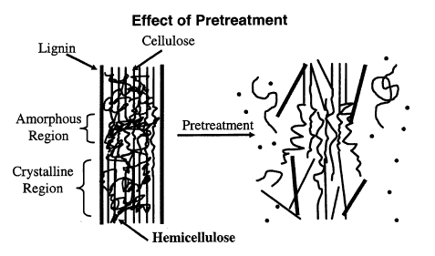 20 açúcares fermentescíveis (MOSIER et al., 2005). A figura 3.3 ilustra a influência do pré-tratamento na biomassa lignocelulósica.
