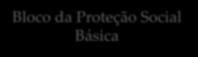 A EXECUÇÃO DENTRO DO BLOCO DE FINANCIAMENTO Serviço de Proteção e Atendimento Integral à Família (PAIF) Bloco da Proteção Social Básica Serviço de Convivência e Fortalecimento de Vínculos (SCFV)