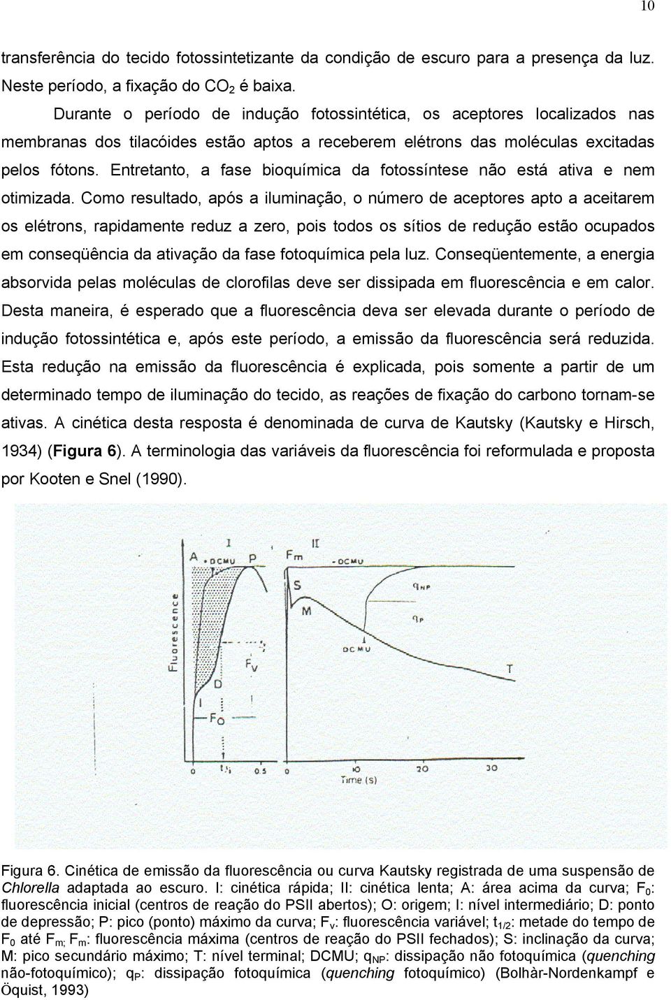 Entretanto, a fase bioquímica da fotossíntese não está ativa e nem otimizada.