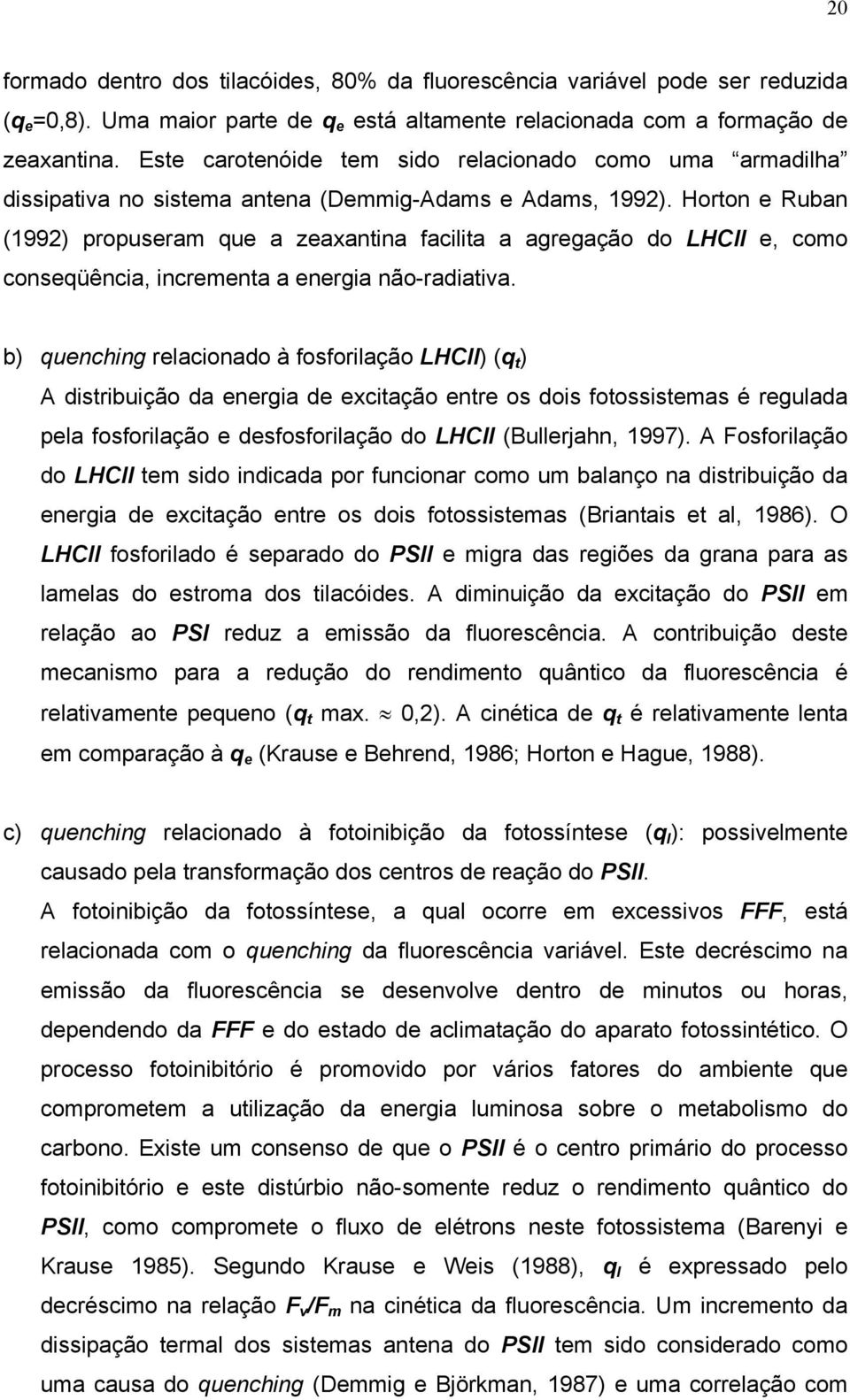 Horton e Ruban (1992) propuseram que a zeaxantina facilita a agregação do LHCII e, como conseqüência, incrementa a energia não-radiativa.