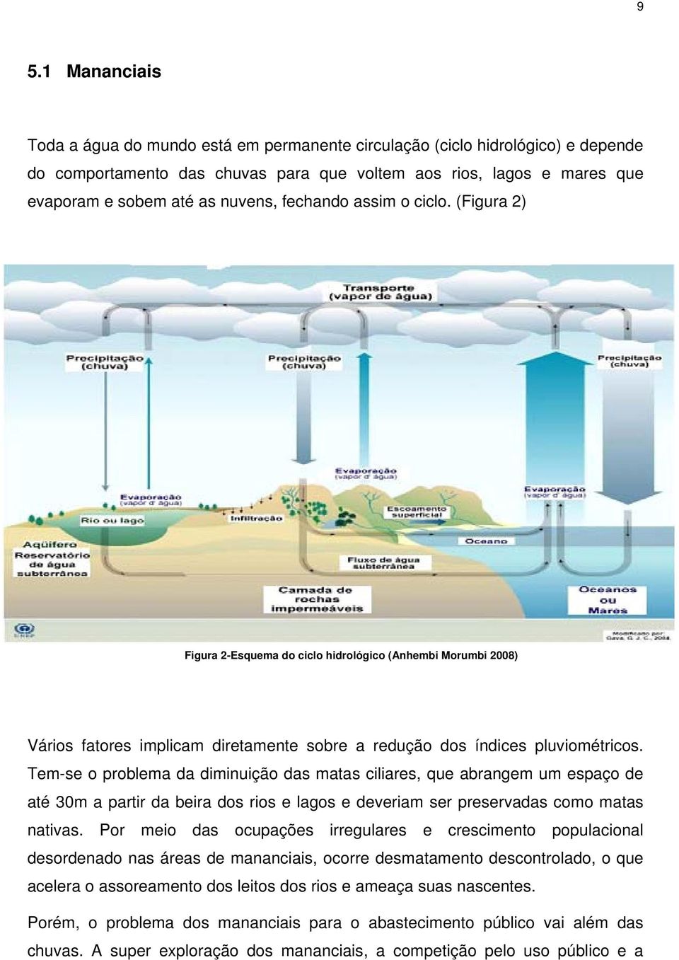 Tem-se o problema da diminuição das matas ciliares, que abrangem um espaço de até 30m a partir da beira dos rios e lagos e deveriam ser preservadas como matas nativas.