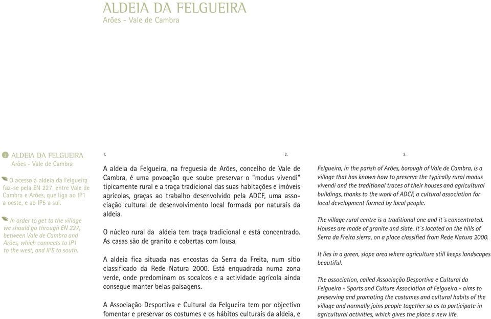 A aldeia da Felgueira, na freguesia de Arões, concelho de Vale de Cambra, é uma povoação que soube preservar o "modus vivendi" tipicamente rural e a traça tradicional das suas habitações e imóveis