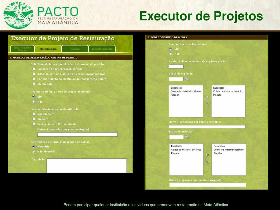 Projetos