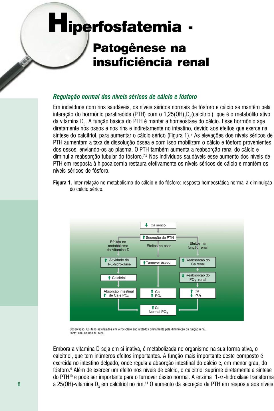 Esse hormônio age diretamente nos ossos e nos rins e indiretamente no intestino, devido aos efeitos que exerce na síntese do calcitriol, para aumentar o cálcio sérico (Figura 1).