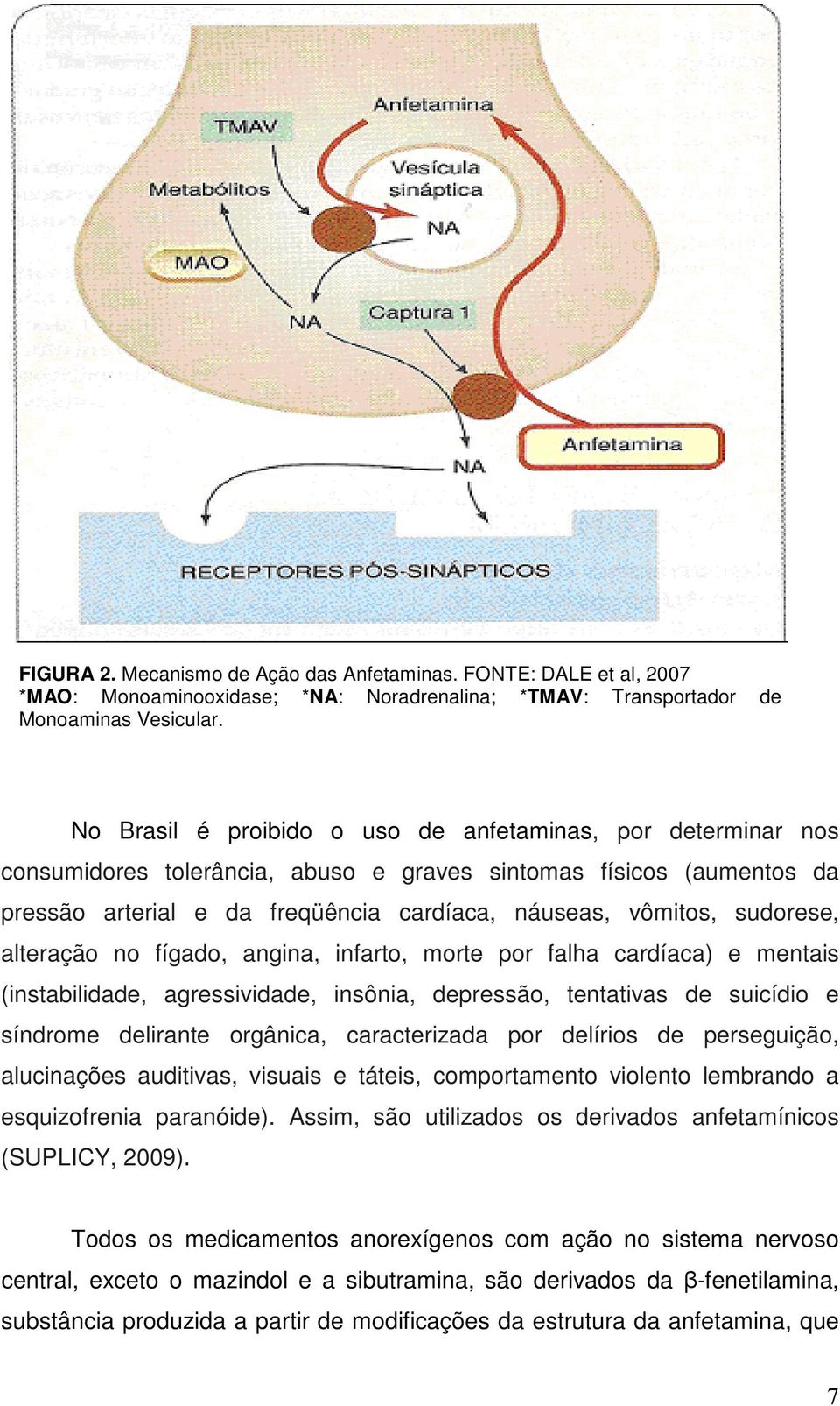 sudorese, alteração no fígado, angina, infarto, morte por falha cardíaca) e mentais (instabilidade, agressividade, insônia, depressão, tentativas de suicídio e síndrome delirante orgânica,