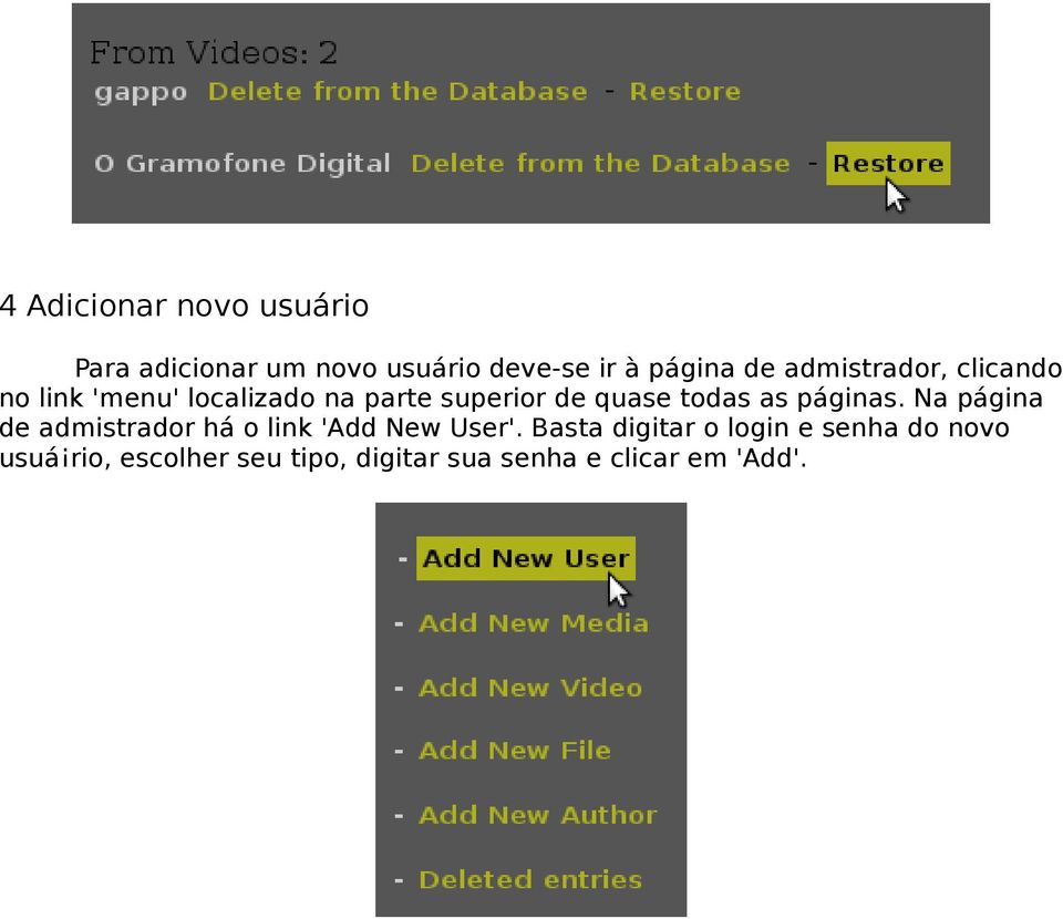 as páginas. Na página de admistrador há o link 'Add New User'.