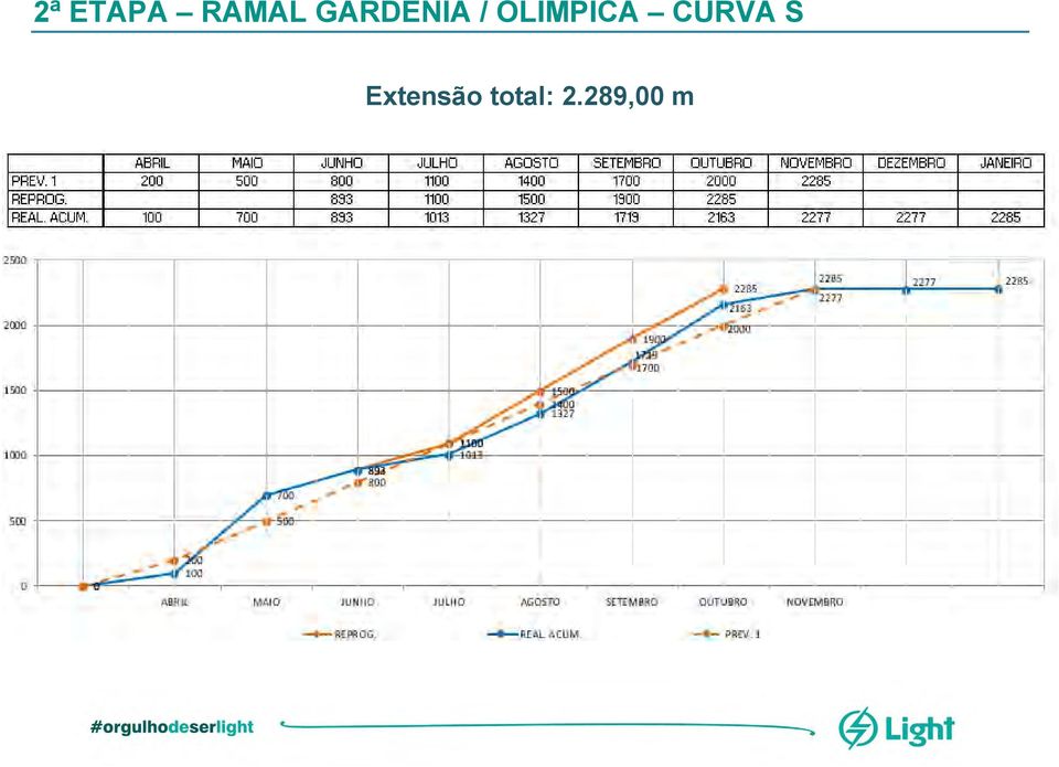 OLIMPICA CURVA S