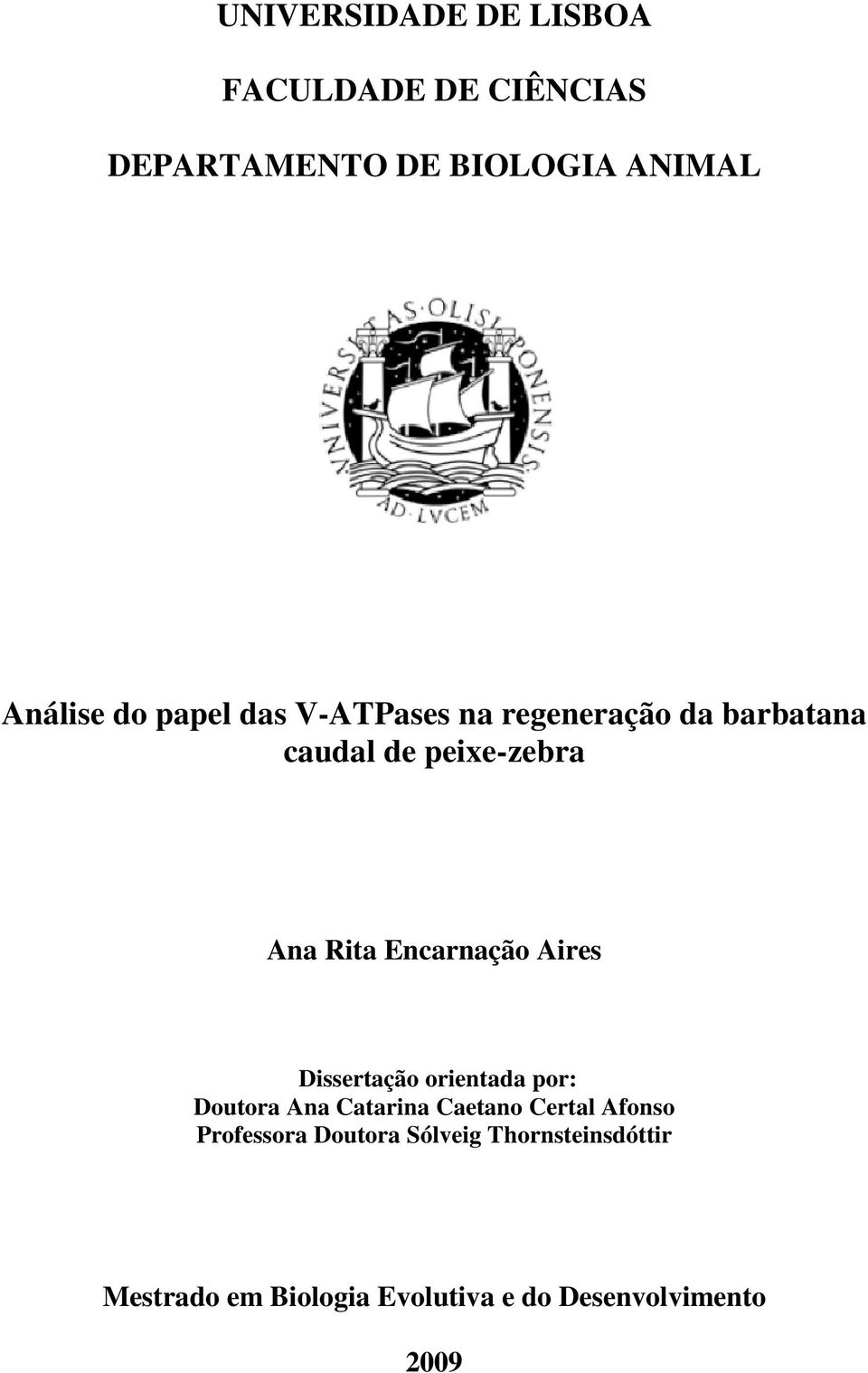 Encarnação Aires Dissertação orientada por: Doutora Ana Catarina Caetano Certal Afonso