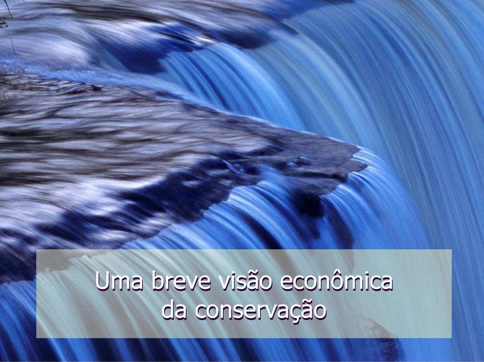 econômica