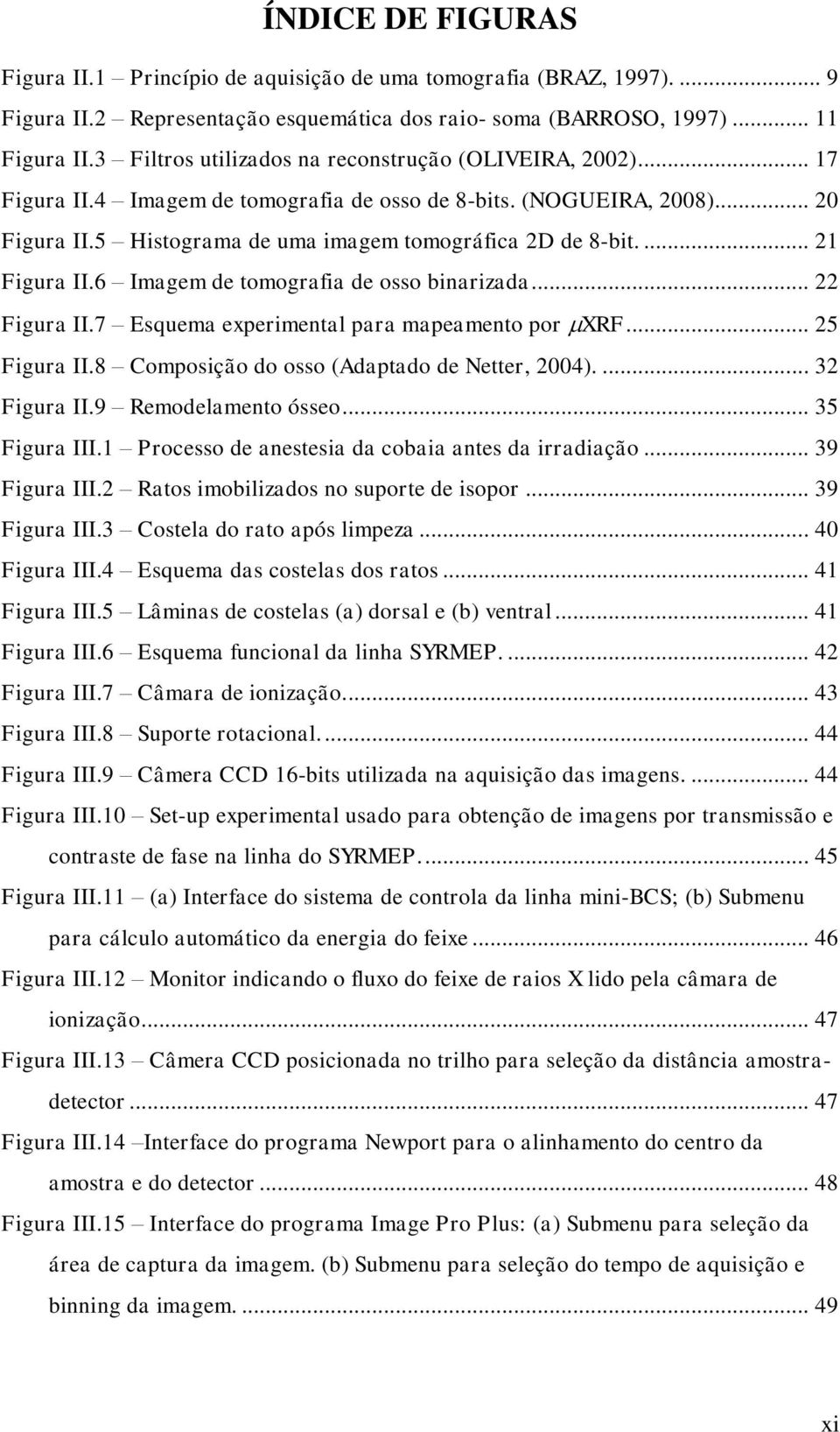 ... 21 Figura II.6 Imagem de tomografia de osso binarizada... 22 Figura II.7 Esquema experimental para mapeamento por XRF... 25 Figura II.8 Composição do osso (Adaptado de Netter, 2004).... 32 Figura II.