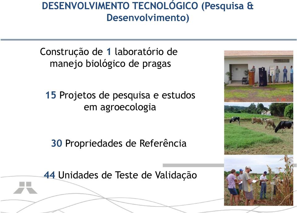 pragas 15 Projetos de pesquisa e estudos em agroecologia