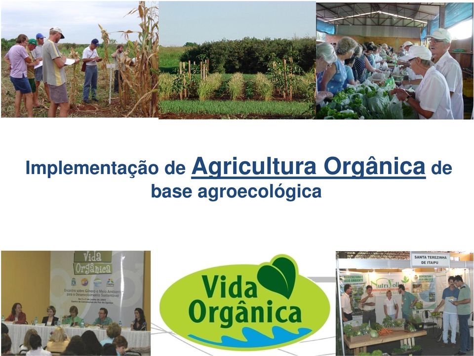 Orgânica de 