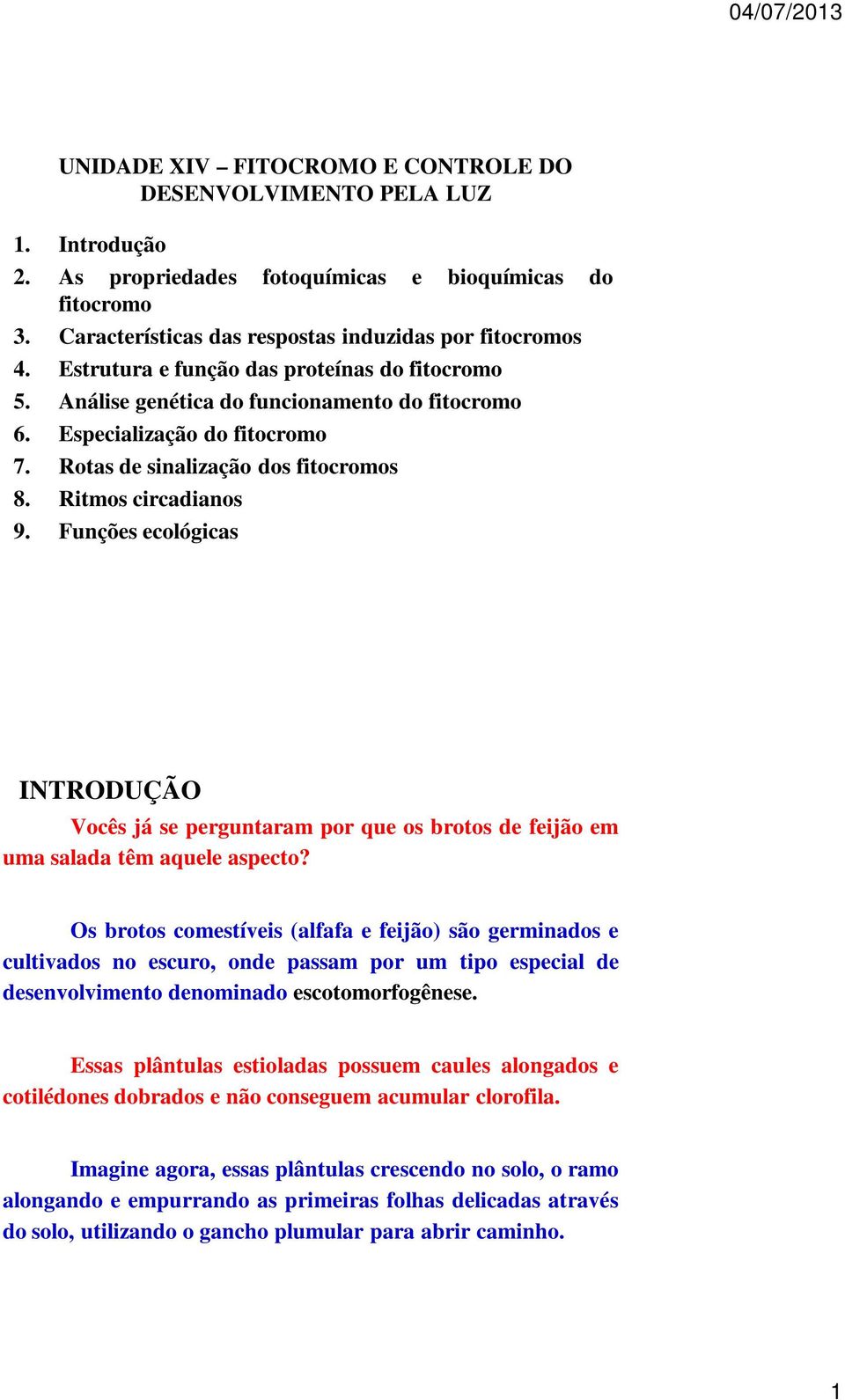 Funções ecológicas INTRODUÇÃO Vocês já se perguntaram por que os brotos de feijão em uma salada têm aquele aspecto?