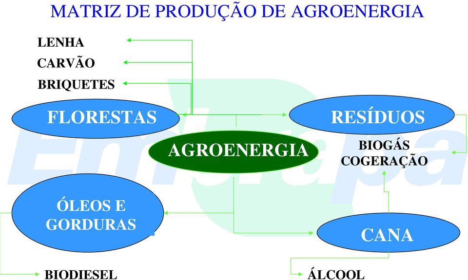 RESÍDUOS AGROENERGIA BIOGÁS