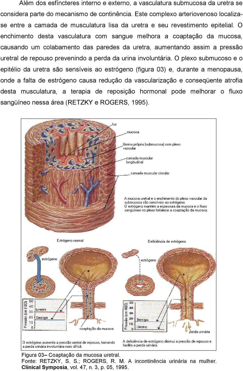 O enchimento desta vasculatura com sangue melhora a coaptação da mucosa, causando um colabamento das paredes da uretra, aumentando assim a pressão uretral de repouso prevenindo a perda da urina