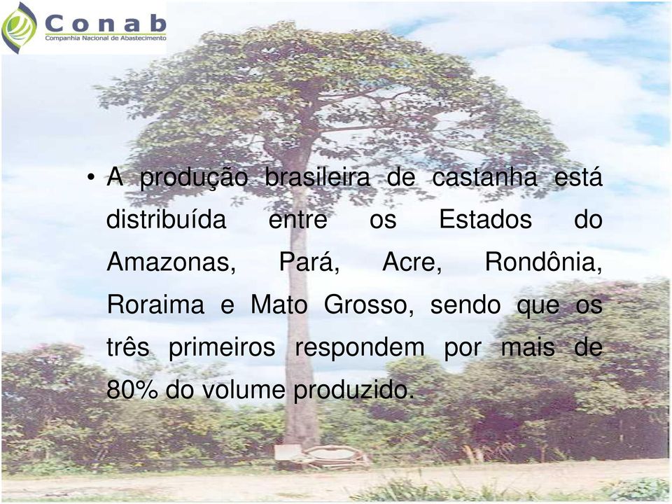 Acre, Rondônia, Roraima e Mato Grosso, sendo que