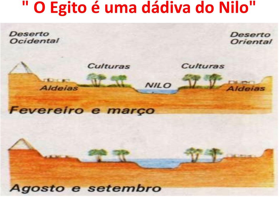 dádiva do