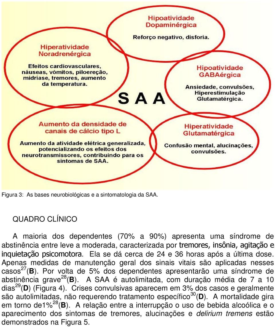 Ela se dá cerca de 24 e 36 horas após a última dose. Apenas medidas de manutenção geral dos sinais vitais são aplicadas nesses casos 27 (B).