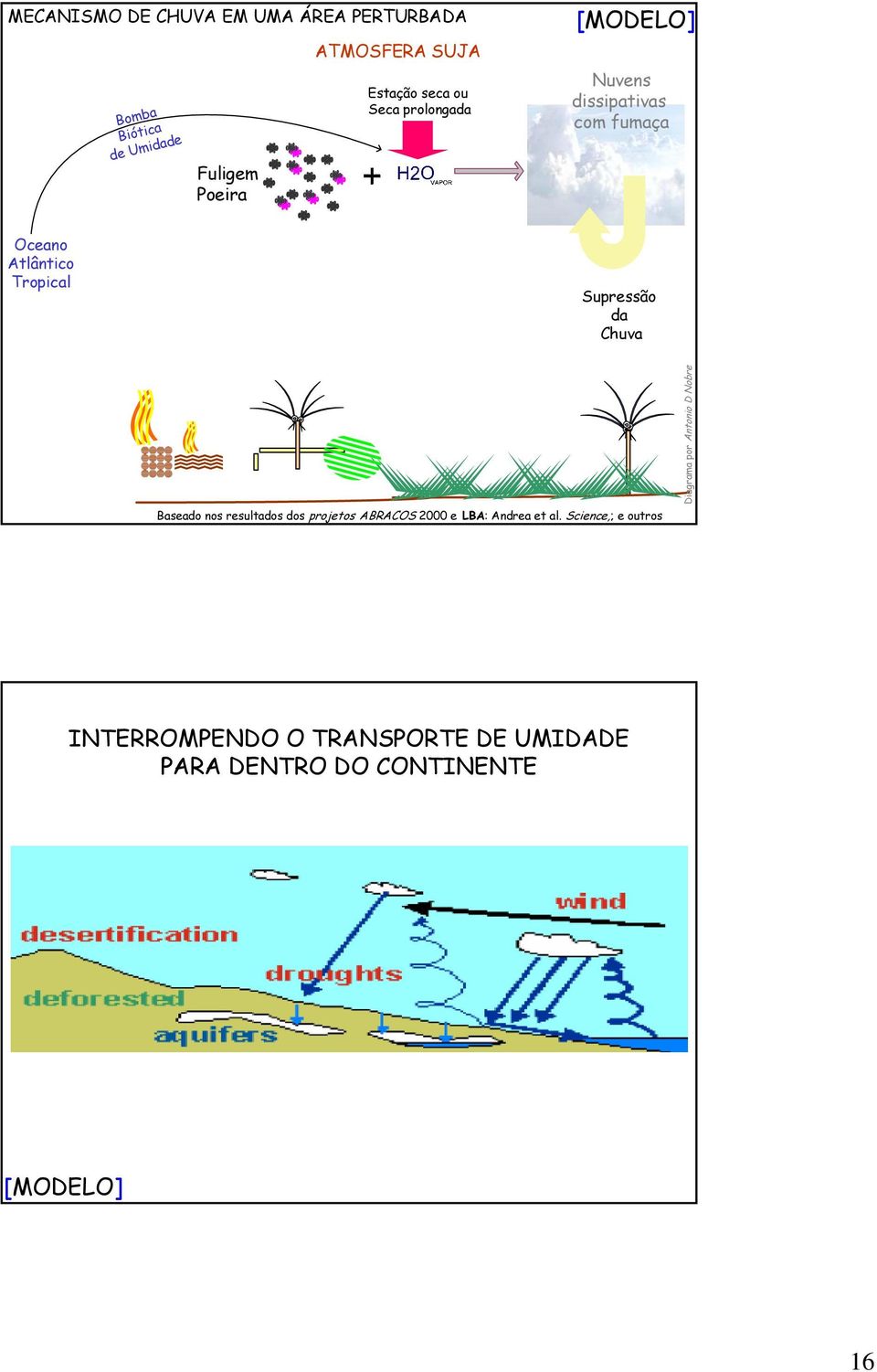 Tropical Supressão da Chuva Baseado nos resultados dos projetos ABRACOS 2000 e LBA: Andrea et al.