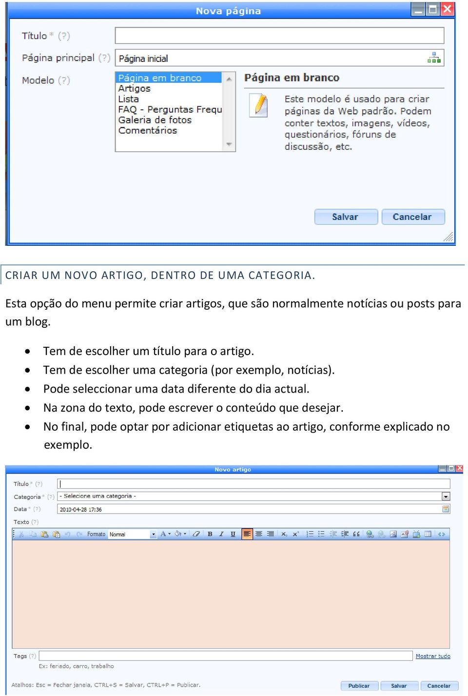 Tem de escolher um título para o artigo. Tem de escolher uma categoria (por exemplo, notícias).