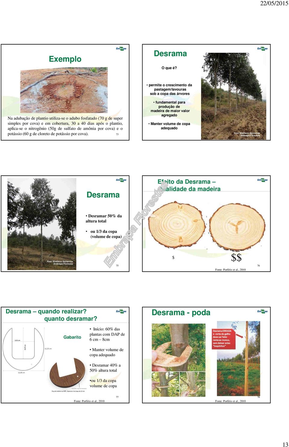 permite o crescimento da pastagem/lavouras sob a copa das árvores fundamental para produção de madeira de maior valor agregado Manter volume de copa adequado potássio (60 g de cloreto de potássio por