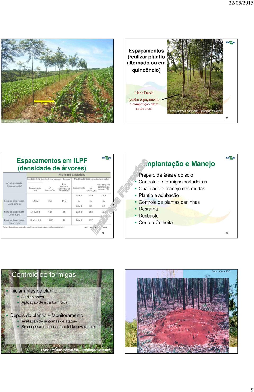 Implantação e Manejo Preparo da área e do solo Controle de formigas cortadeiras Qualidade e manejo das mudas Plantio e adubação Controle de plantas daninhas Desrama