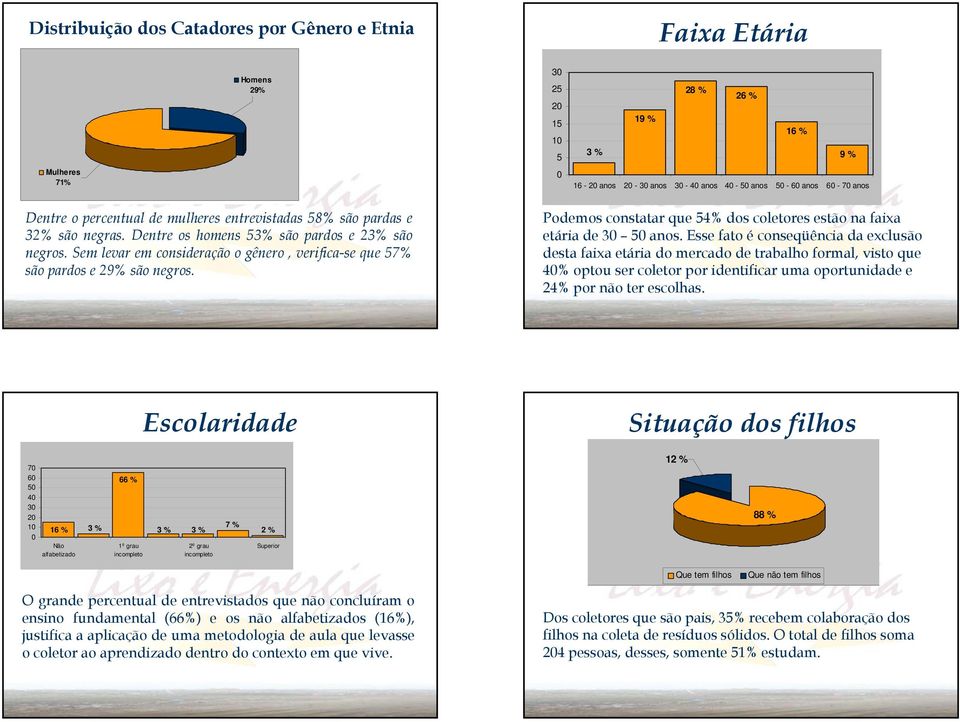 Sem levar em consideração o gênero, verifica-se que 57% são pardos e 29% são negros. Podemos constatar que 54% dos coletores estão na faixa etária de 30 50 anos.