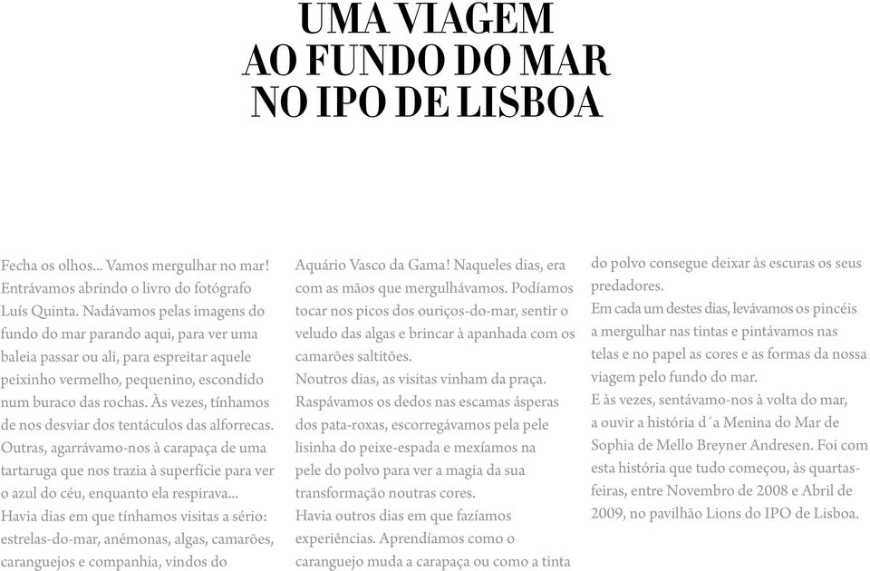 Às vezes, tínhamos de nos desviar dos tentáculos das alforrecas. Outras, agarrávamo-nos à carapaça de uma tartaruga que nos trazia à superfície para ver o azul do céu, enquanto ela respirava.