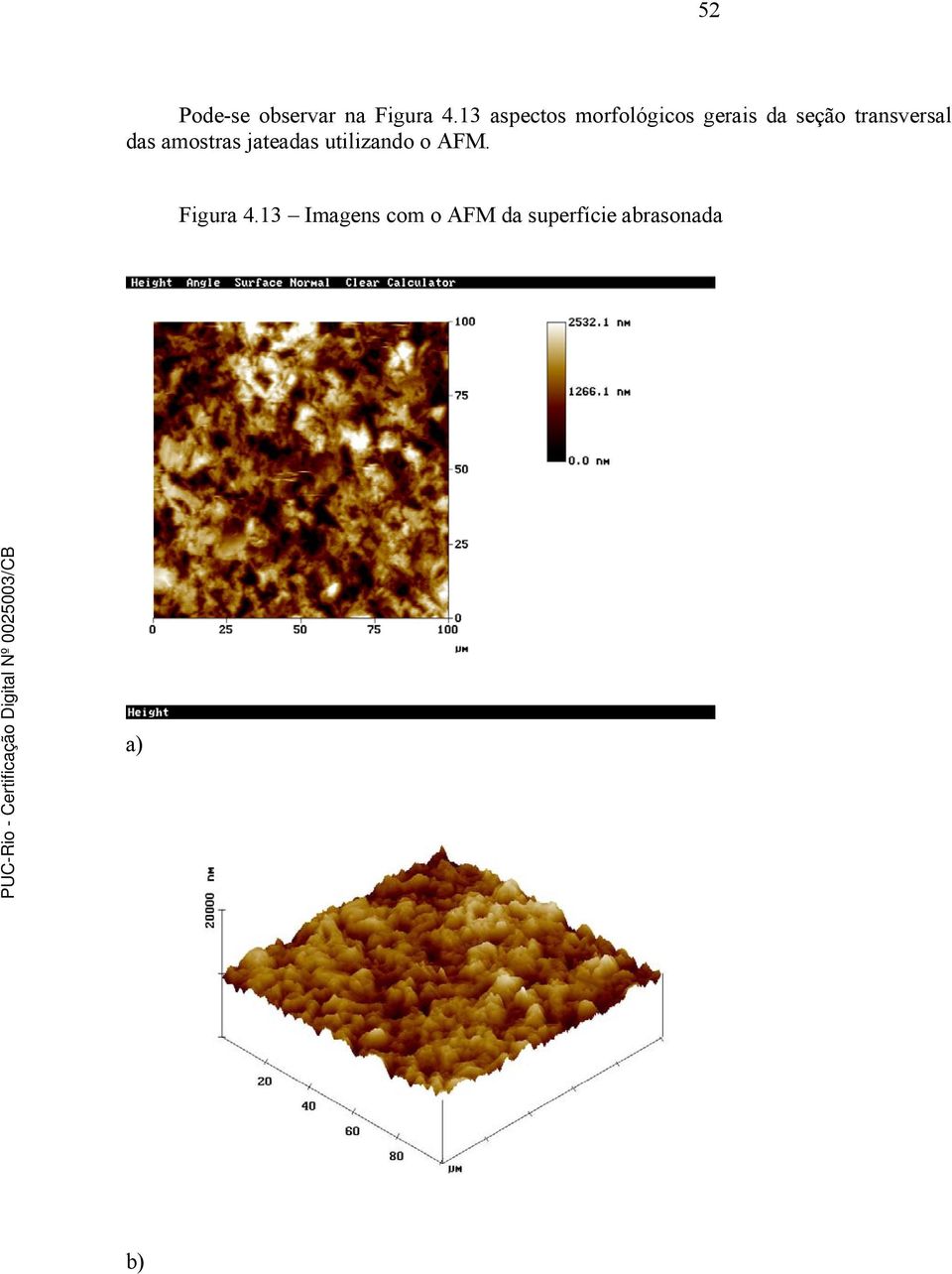 transversal das amostras jateadas utilizando o