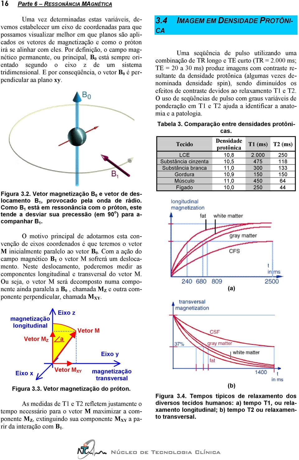 E por conseqüência, o vetor B 0 é perpendicular aa plano xy. Figura 3.2. Vetor magnetização B 0 e vetor de deslocamento B 1, provocado pela onda de rádio.