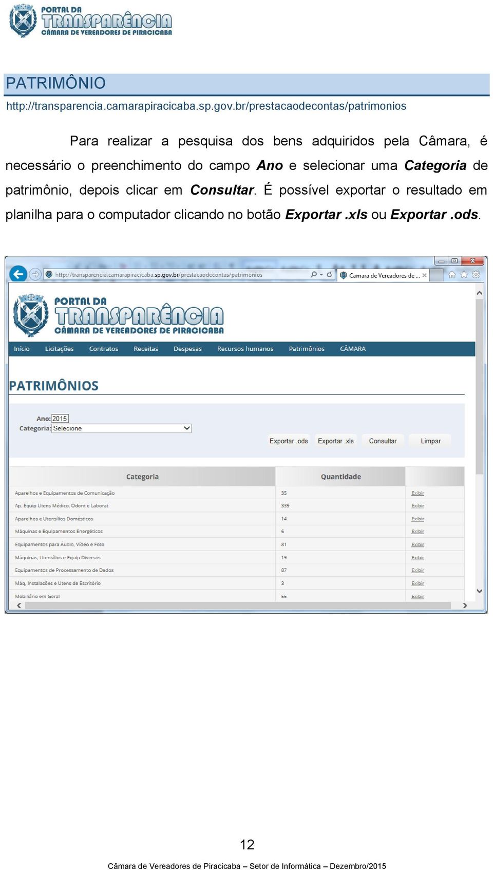 necessário o preenchimento do campo Ano e selecionar uma Categoria de patrimônio, depois