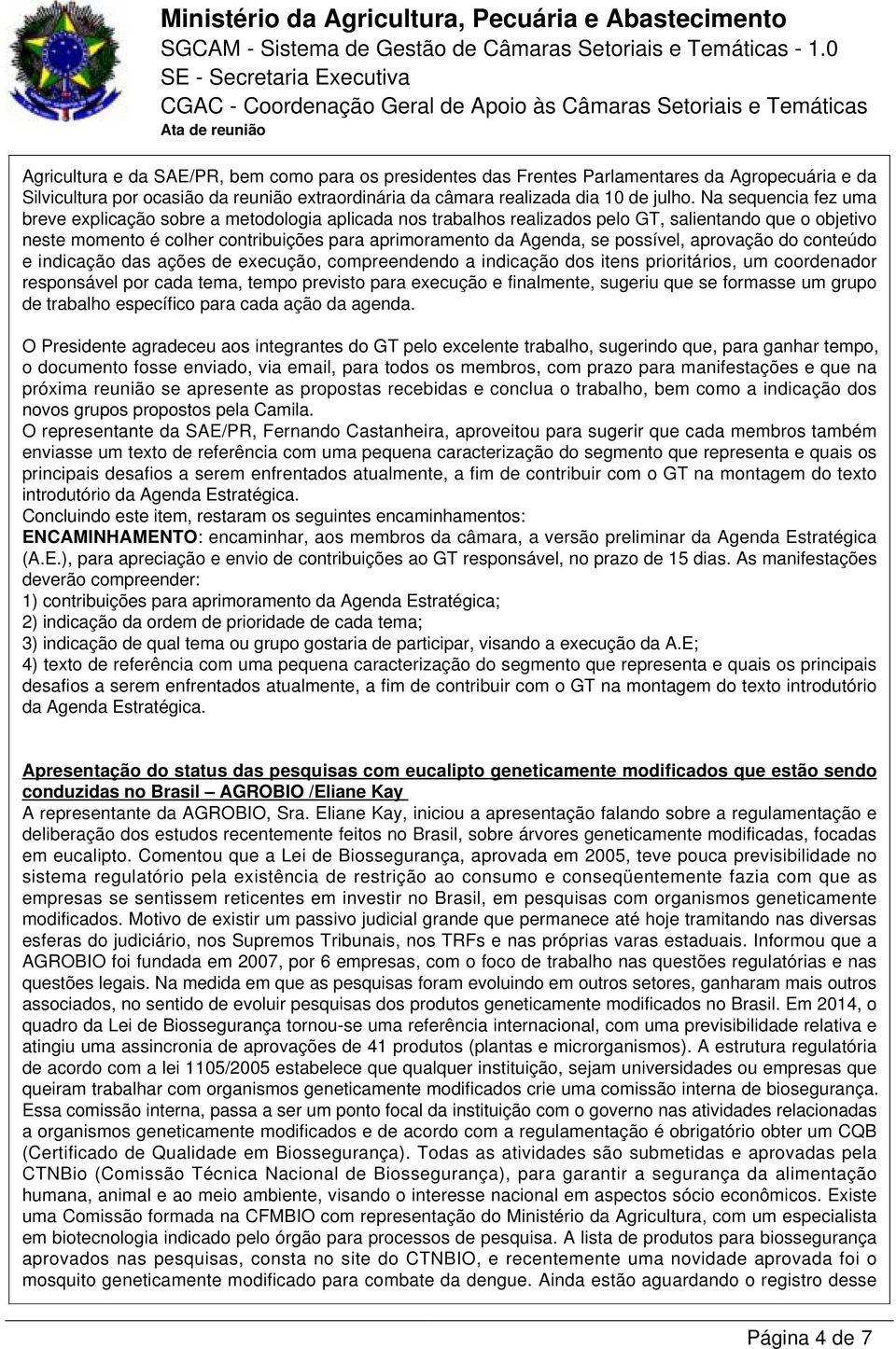 possível, aprovação do conteúdo e indicação das ações de execução, compreendendo a indicação dos itens prioritários, um coordenador responsável por cada tema, tempo previsto para execução e