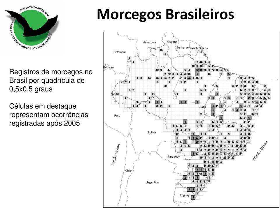 Células em destaque representam