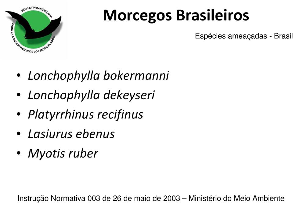 recifinus Lasiurus ebenus Myotis ruber Instrução