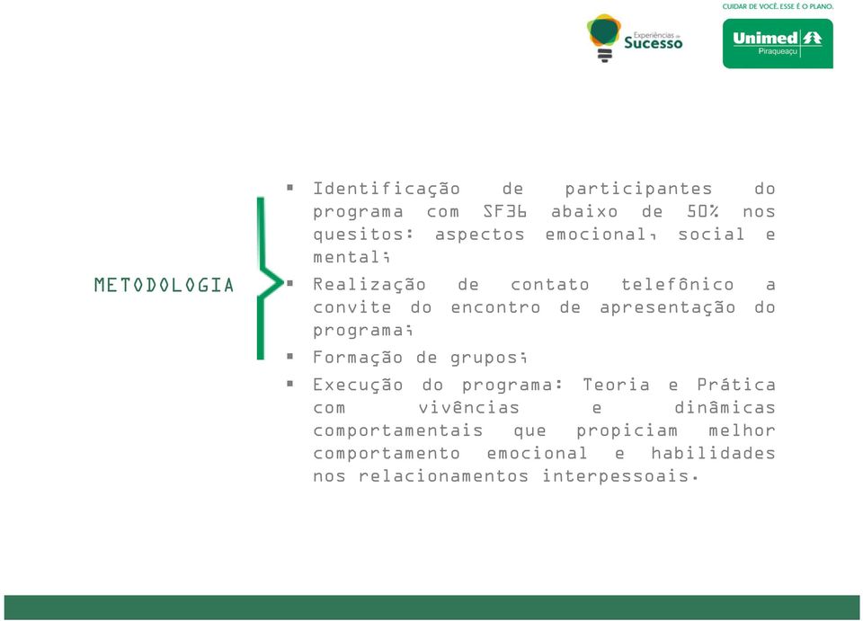 programa; Formação de grupos; Execução do programa: Teoria e Prática com vivências e dinâmicas