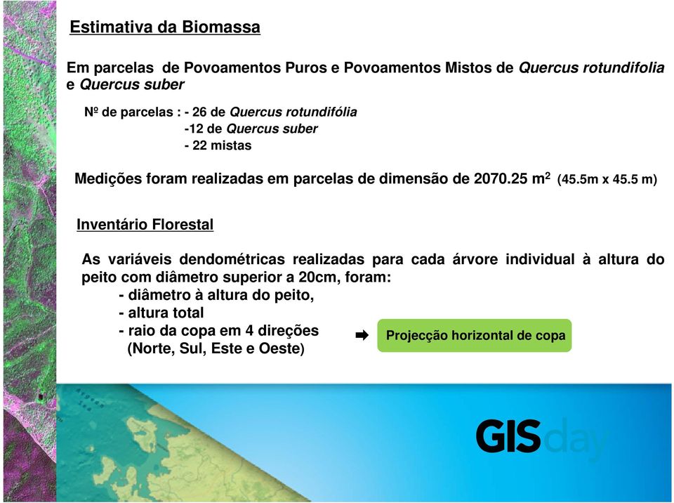 5 m) Inventário Florestal As variáveis dendométricas realizadas para cada árvore individual à altura do peito com diâmetro superior a