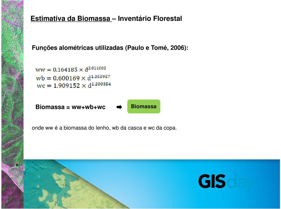 2006): Biomassa = ww+wb+wc Biomassa onde ww é