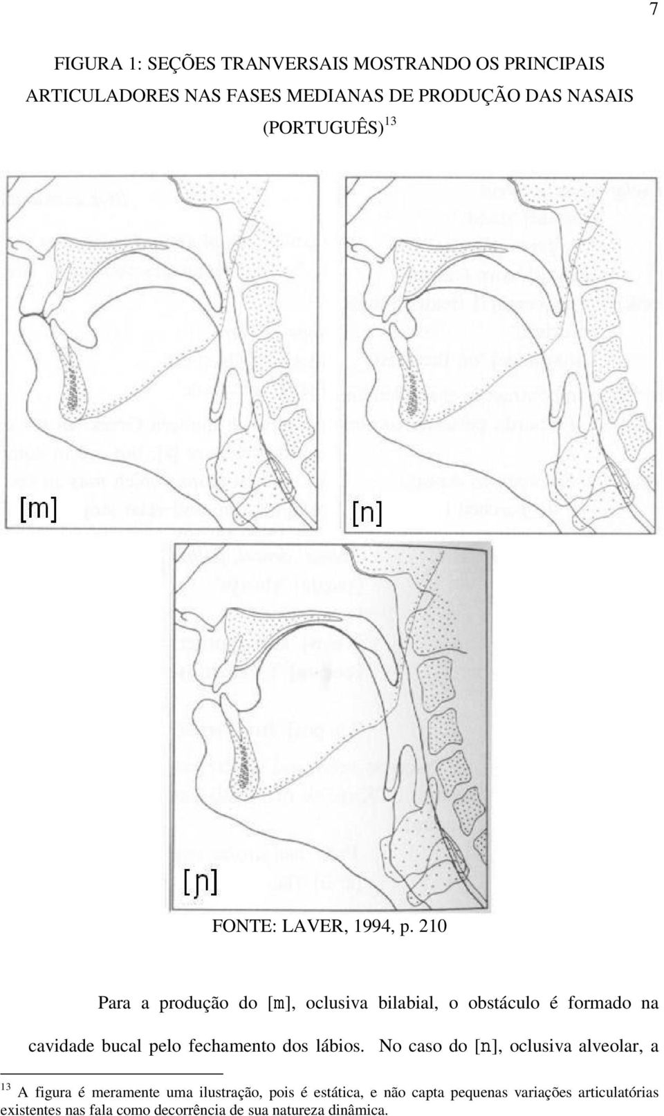 210 Para a produção do [], oclusiva bilabial, o obstáculo é formado na cavidade bucal pelo fechamento dos lábios.