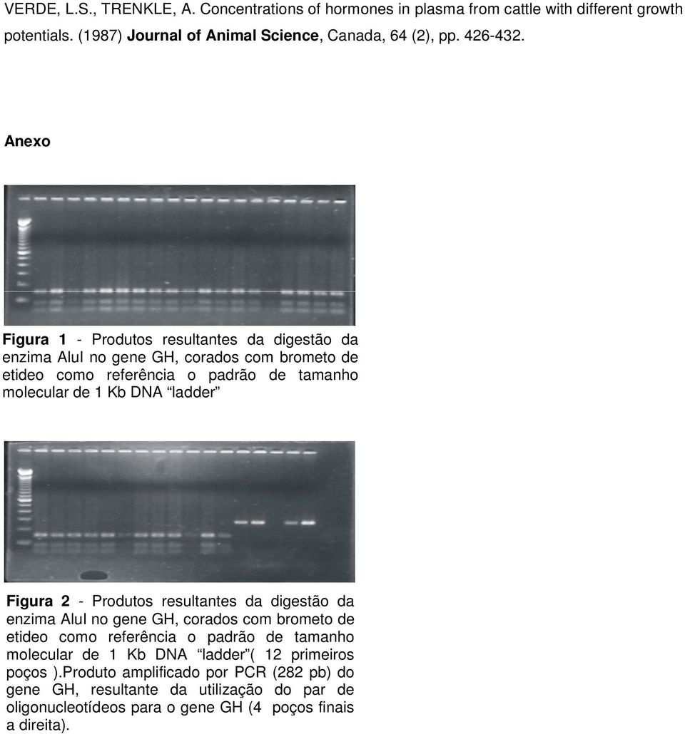 Anexo Figura 1 - Produtos resultantes da digestão da enzima AluI no gene GH, corados com brometo de etideo como referência o padrão de tamanho molecular de 1 Kb DNA