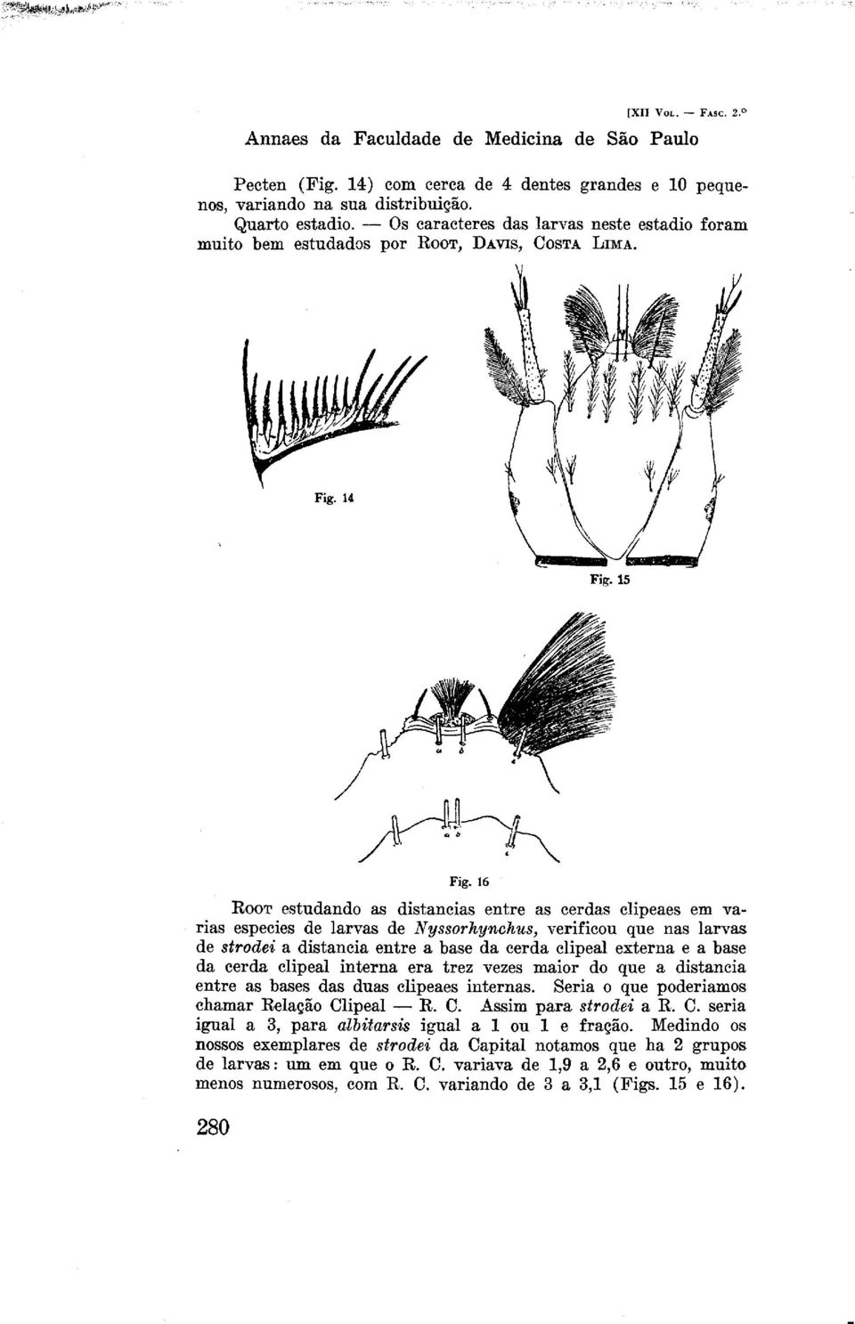 16 ROOT estudando as distancias entre as cerdas clipeaes em varias especies de larvas de Nyssorhylzchus, verificou que nas larvas de strodei a distancia entre a base da cerda clipeal externa e a base