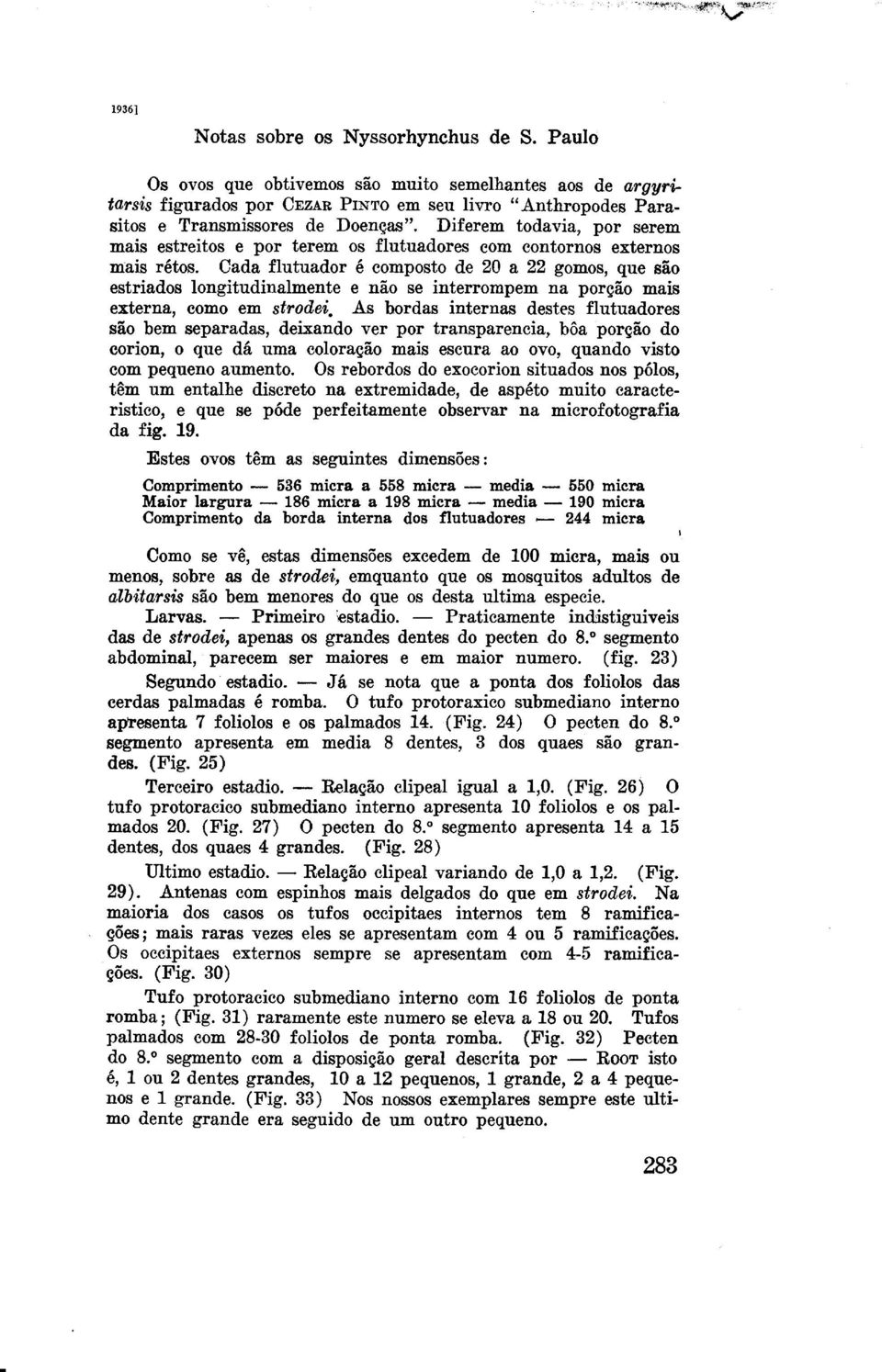 Cada flutuador 6 composto de 20 a 22 gomos, que silo estriados longitudinalmente e n5o se interrompem na por@o mais externa, corn0 em strodei, As bordas internas destes flutuadores Go bem separadas,