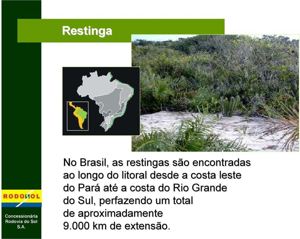 leste do Pará até a costa do Rio Grande do Sul,
