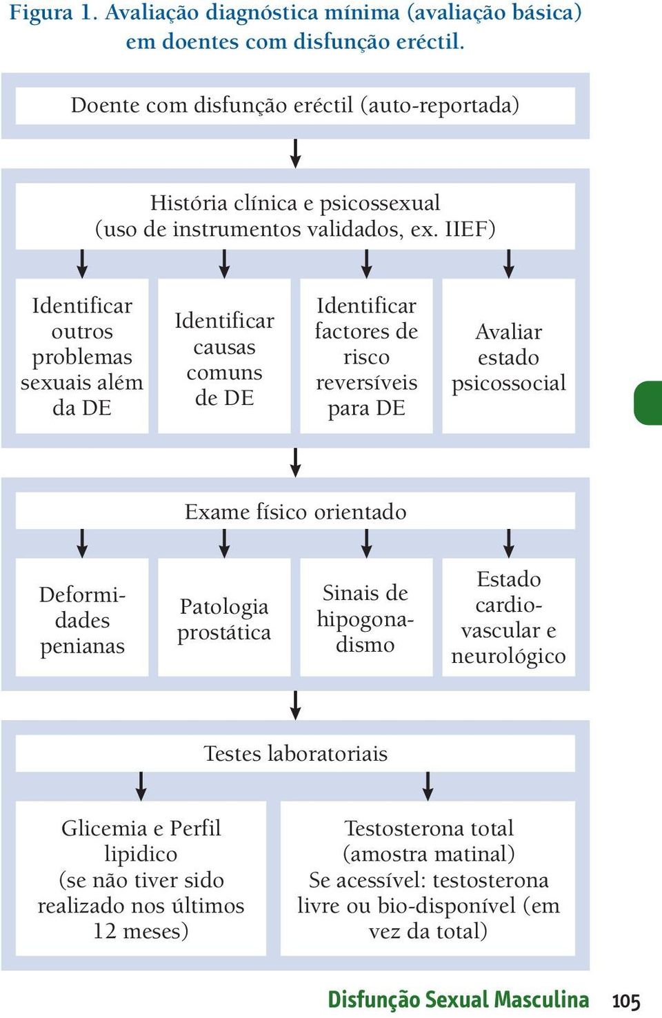 IIEF) Identificar outros problemas sexuais além da DE Identificar causas comuns de DE Identificar factores de risco reversíveis para DE Avaliar estado psicossocial Exame